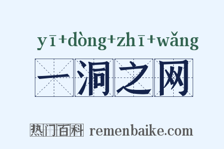 一洞之网是什么意思的图片